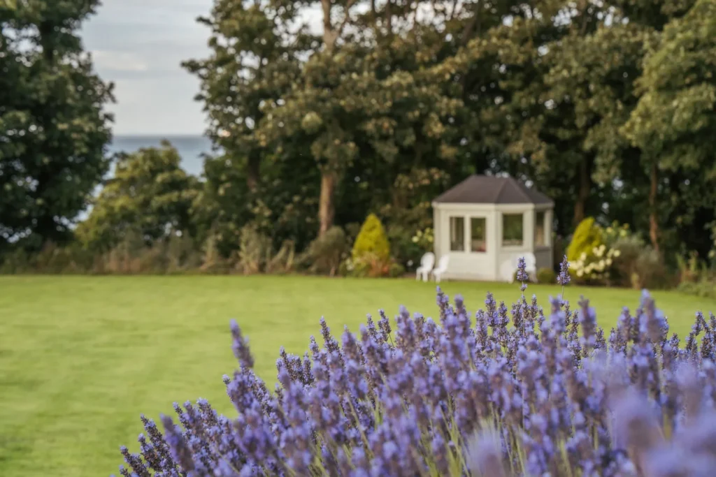 Wedding Venues Near Belfast
