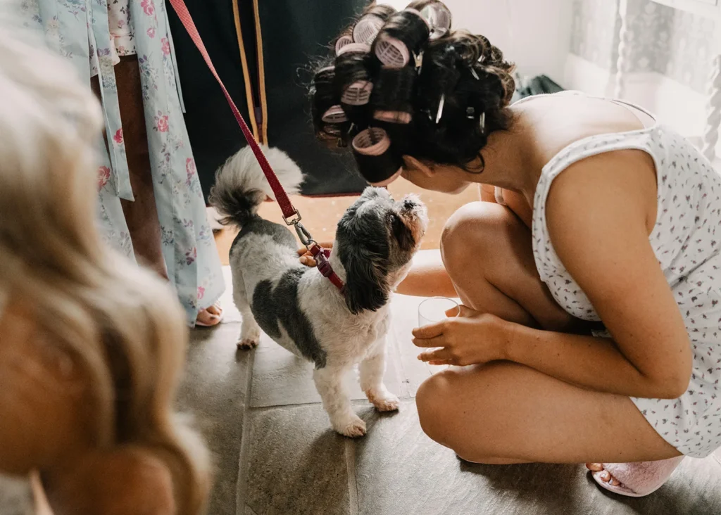 pet friendly wedding venue in northern ireland hillmount house