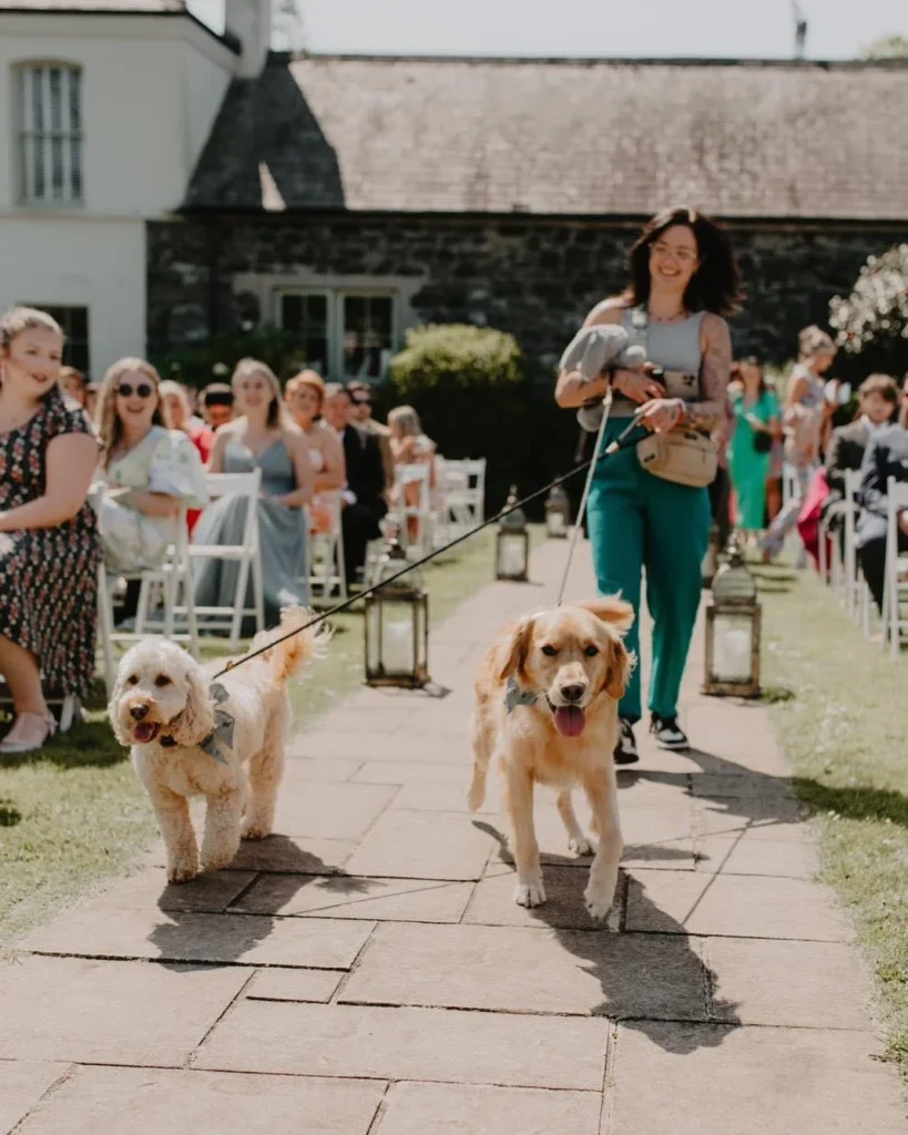Dog Friendly Wedding Venues northern ireland